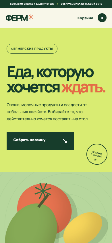 Первый экран проекта ФЕРМ на телефоне